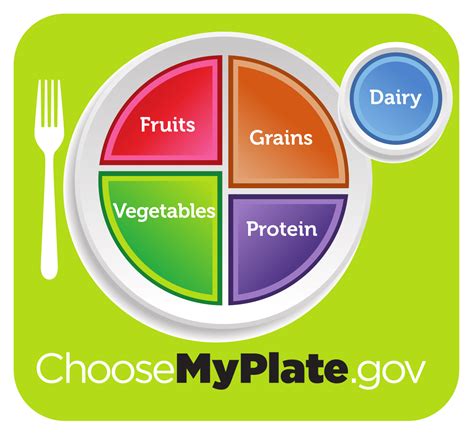 MyPlate: The New and Improved Food Pyramid For Kids