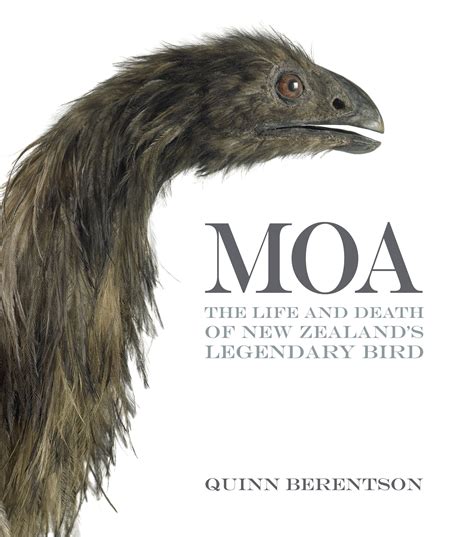 Extinct moa brought to life | SciBooks | Weird looking animals, Extinct ...