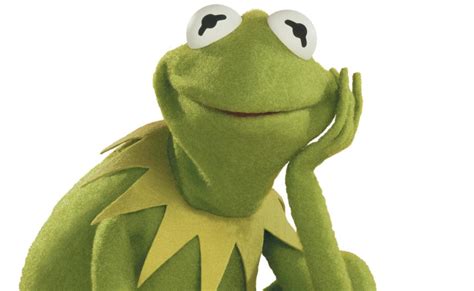 The Muppets’ Kermit the Frog gets a new voice | The West Australian