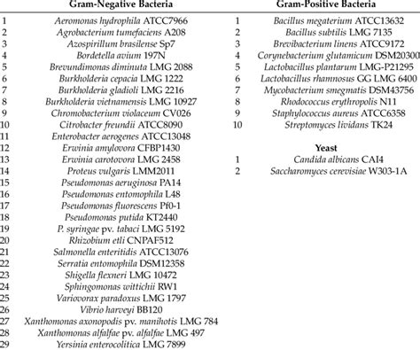 2 Which of the Following Genus of Bacteria Is Gram-negative ...