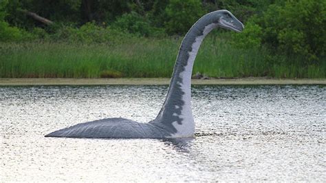 Top 10 AMAZING LOCHNESS MONSTER FACTS || The Loch Ness Monster - was it ...