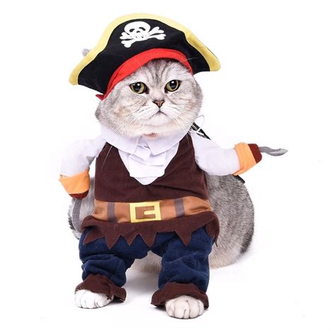 Pirate Cat Costume | Best Cat Costumes For Halloween 2020 | POPSUGAR ...