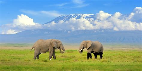 Best Time To Visit Kenya: Advice From the Safari Experts - Southern ...