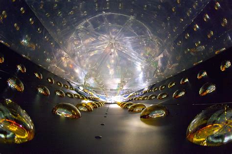 Neutrino experiments find no sign of expected new subatomic particle