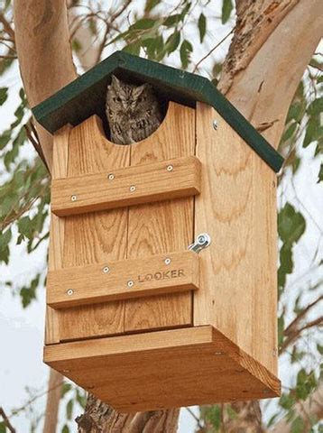 Owl Houses | Screech Owl House | Barn and Barred Owl Houses | Saw-Whet ...