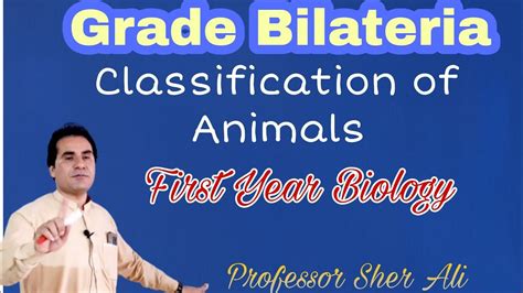 Grade bilateria classification|| Animal classification|| Professor Sher ...