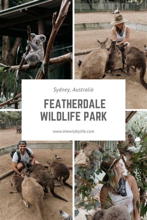 Visiting Featherdale Wildlife Park in Sydney - thewildlylife.com