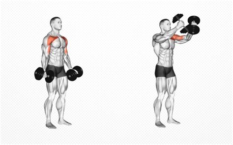 Standing Dumbbell Fly Guide: How To, Benefits, Muscles Worked