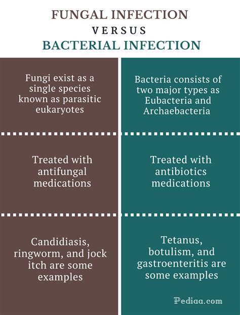 Difference Between Fungal and Bacterial Infection | Cause, Common Types ...