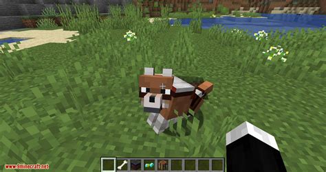 Wolves With Armor Mod 1.17/1.16.5 (Armors for Your Best Friend ...