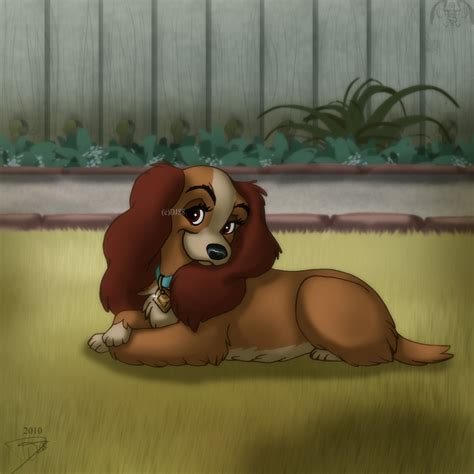 lady and the tramp - Lady and Tramp Fan Art (32588715) - Fanpop