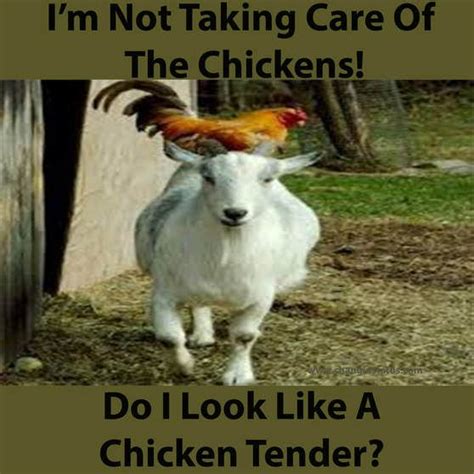 Pin on Funny Baby Goat Quotes Memes And Puns