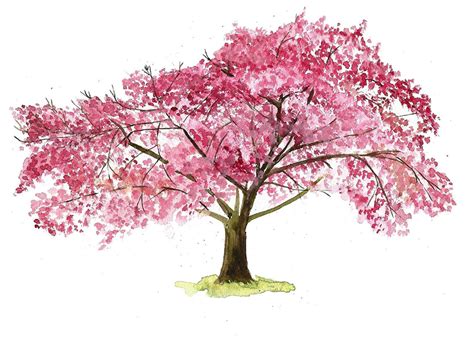 cherry blossom - Google Search | Cherry blossom wall art, Cherry ...