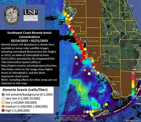 Current Red Tide Map Florida - Drucie Kimberley