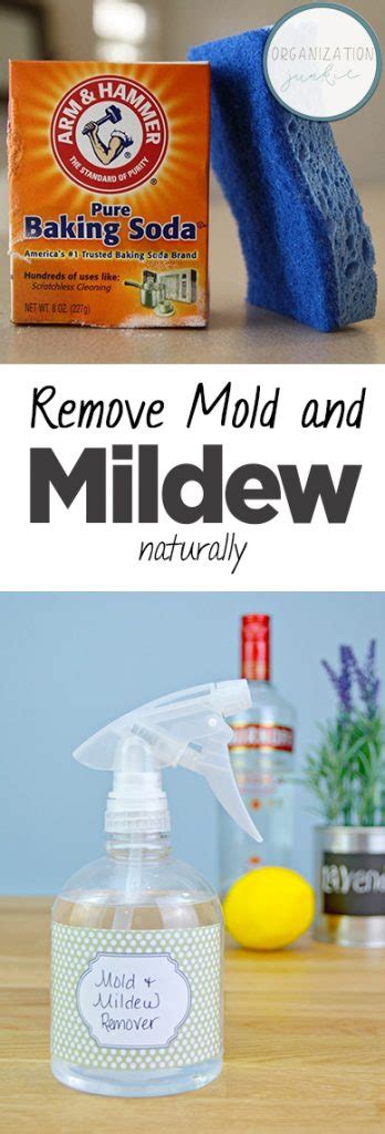 Remove Mold and Mildew Naturally • Organization Junkie