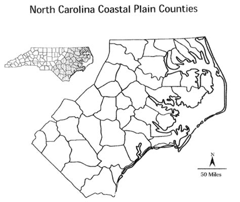 Our State Geography in a Snap: The Coastal Plain Region | NCpedia