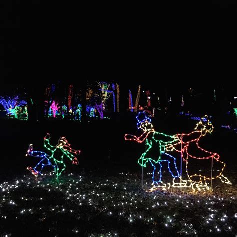 Meadowlark Botanical Gardens Winter Walk of Lights - Adventures in DC