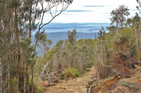 Mount Wellington Walks: A Hobart, Tasmania Hike - Jetsetting Fools ...