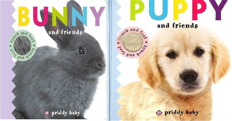 Puppy And Friends / Bunny And Friends Set – BookXcess