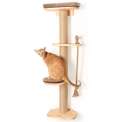 Buy FUKUMARU Cat Scratching Activity Tree Wall ed, 51" Cat Scratch Post ...