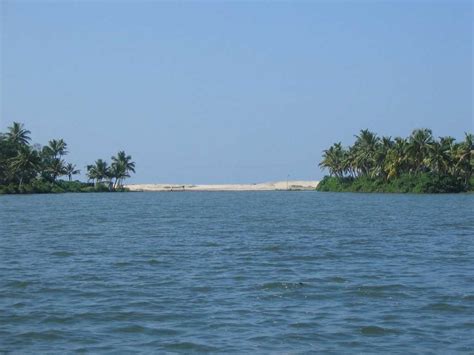 Chilika Lake (Puri) Odisha - Images