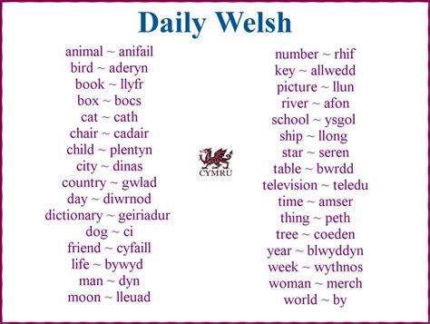 Pin by Tamara Call on Random | Learn welsh, Welsh sayings, Welsh words