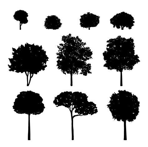 Free Svg Tree Silhouette - 160+ Crafter Files