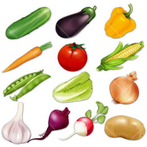 Cartoon Vegetables - Colorful and Nutritious