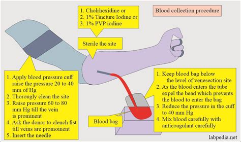 Blood banking:- part 3 - Blood Donation Procedure, Blood Components and ...