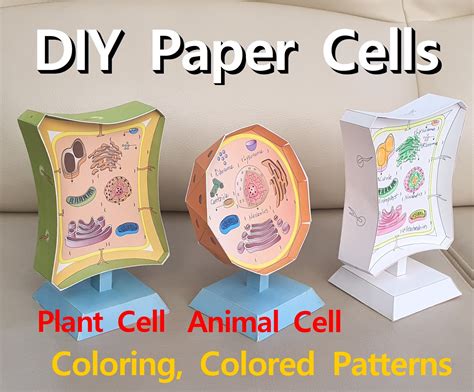 DIY 3D Paper Cell Models 3D Paper Animal Cell Paper Plant - Etsy UK