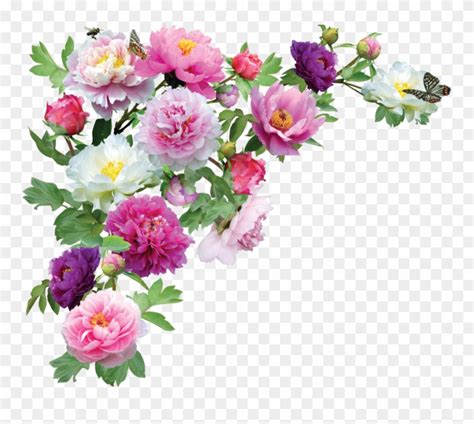 Download Flower Clipart - Flower Corner Border Png Transparent Png ...