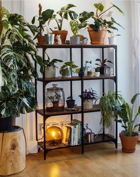 50+ Plant Shelf Ideas For Your Home - The Wonder Cottage