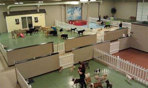 like this | Dog daycare design, Dog daycare, Dog daycare business