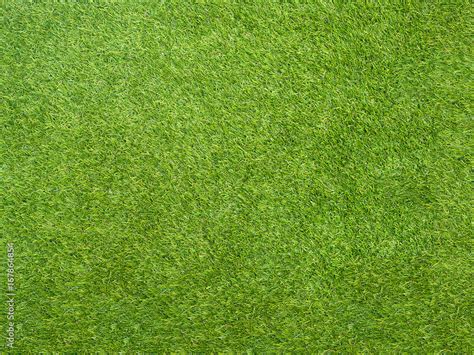 Football Field Grass Texture