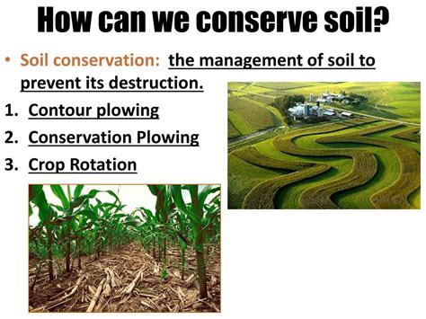 PPT - AIM: What is SOIL and how does it form? PowerPoint Presentation ...