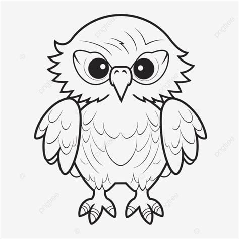 Le Mignon Hibou Est Un Hibou Noir Et Blanc Coloriage Contour Croquis ...