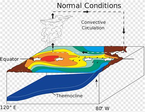 El Niño–Southern Oscillation La Niña Indeks oscylacji południowej Sea ...