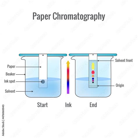 Paper chromatography analytical method for the separation of a mixture ...