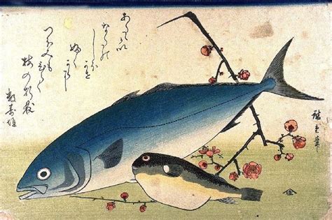 from Shellybean's inspiring blog of fish art Freer Gallery, Japanese ...