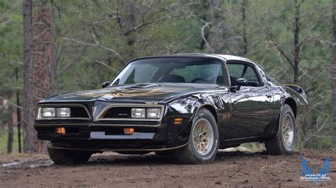 1977 Pontiac Firebird Trans Am - Black and Gold Bandit Edition ...