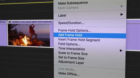 5 Ways to Create Freeze Frames in Adobe Premiere Pro