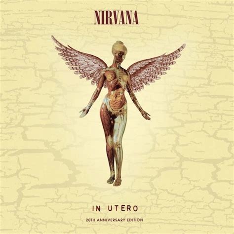 Nirvana: In Utero: 20th Anniversary Edition Album Review | Pitchfork