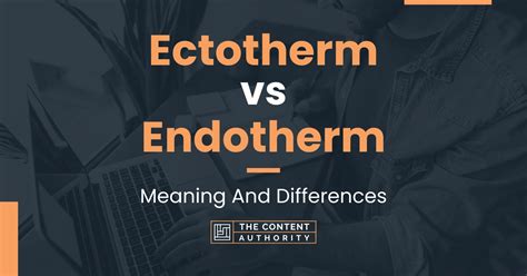 Ectotherm vs Endotherm: Meaning And Differences