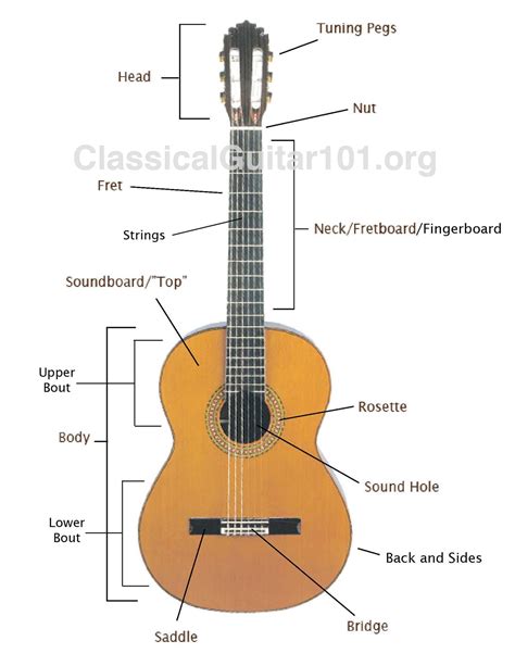 Classical Guitar Part Names | Music | Pinterest | Guitar, Classical ...