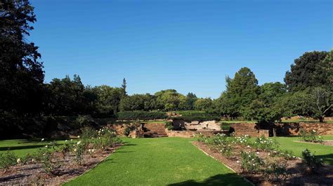 Emmarentia - Johannesburg Botanical Gardens — Sprout Landscapes