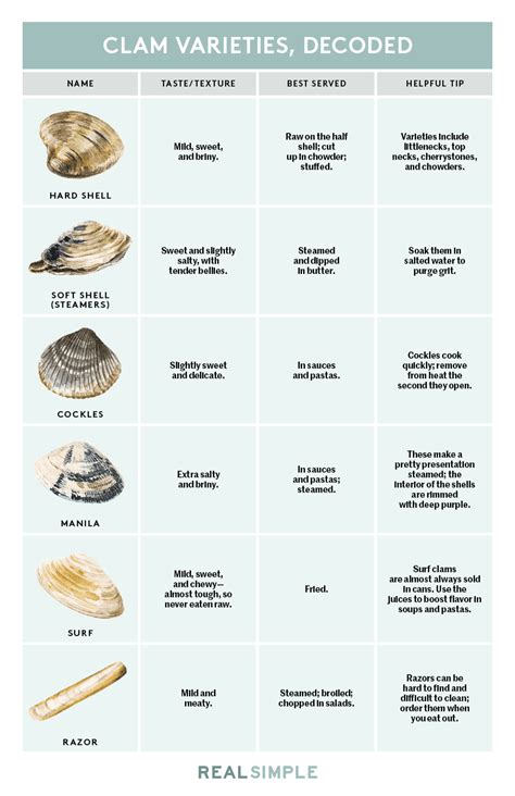 Types of Clams: Guide With Graphic and Clam Names