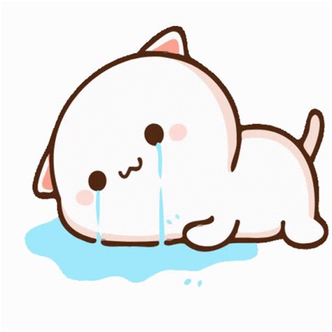 Animated Crying Cat Gif