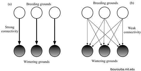 Understanding the transmission of H5N1 | Bourouiba Group