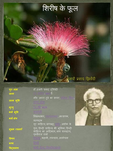 Shirish Ke Phool Ppt | PDF