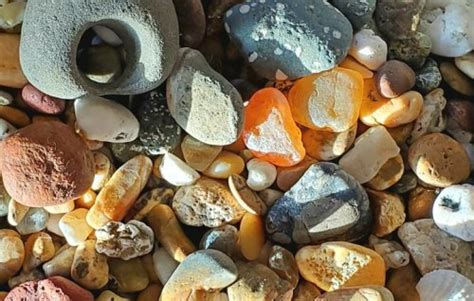 Agate Hunting 101: A Beach Guide to Finding Oregon's Best Hidden ...